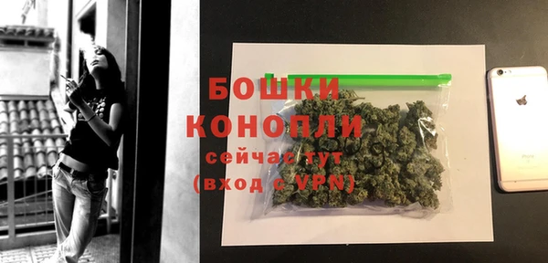 каннабис Белокуриха