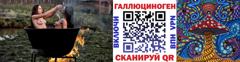 Псилоцибиновые грибы Cubensis  KRAKEN зеркало  Светогорск 